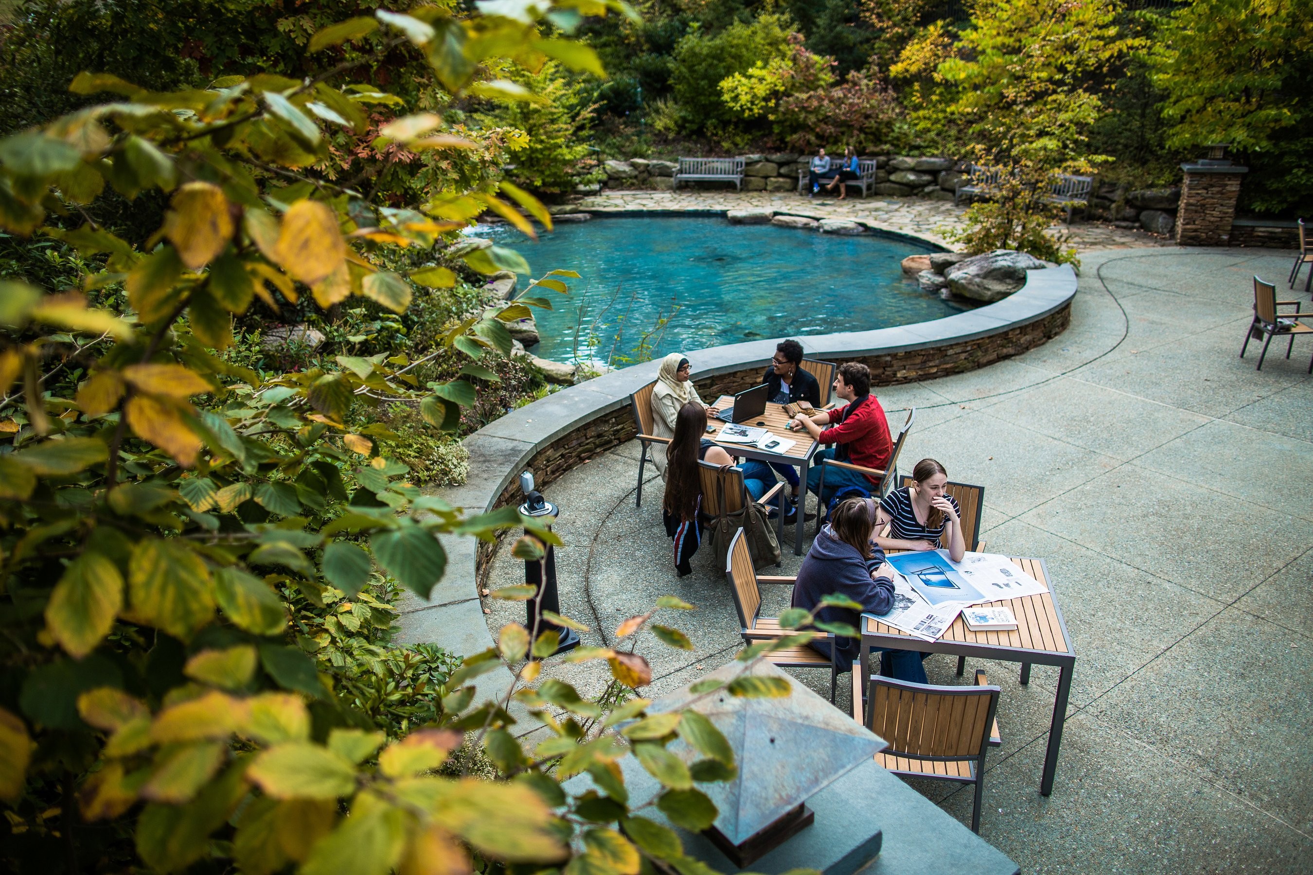 Image of students having a working session by a pond