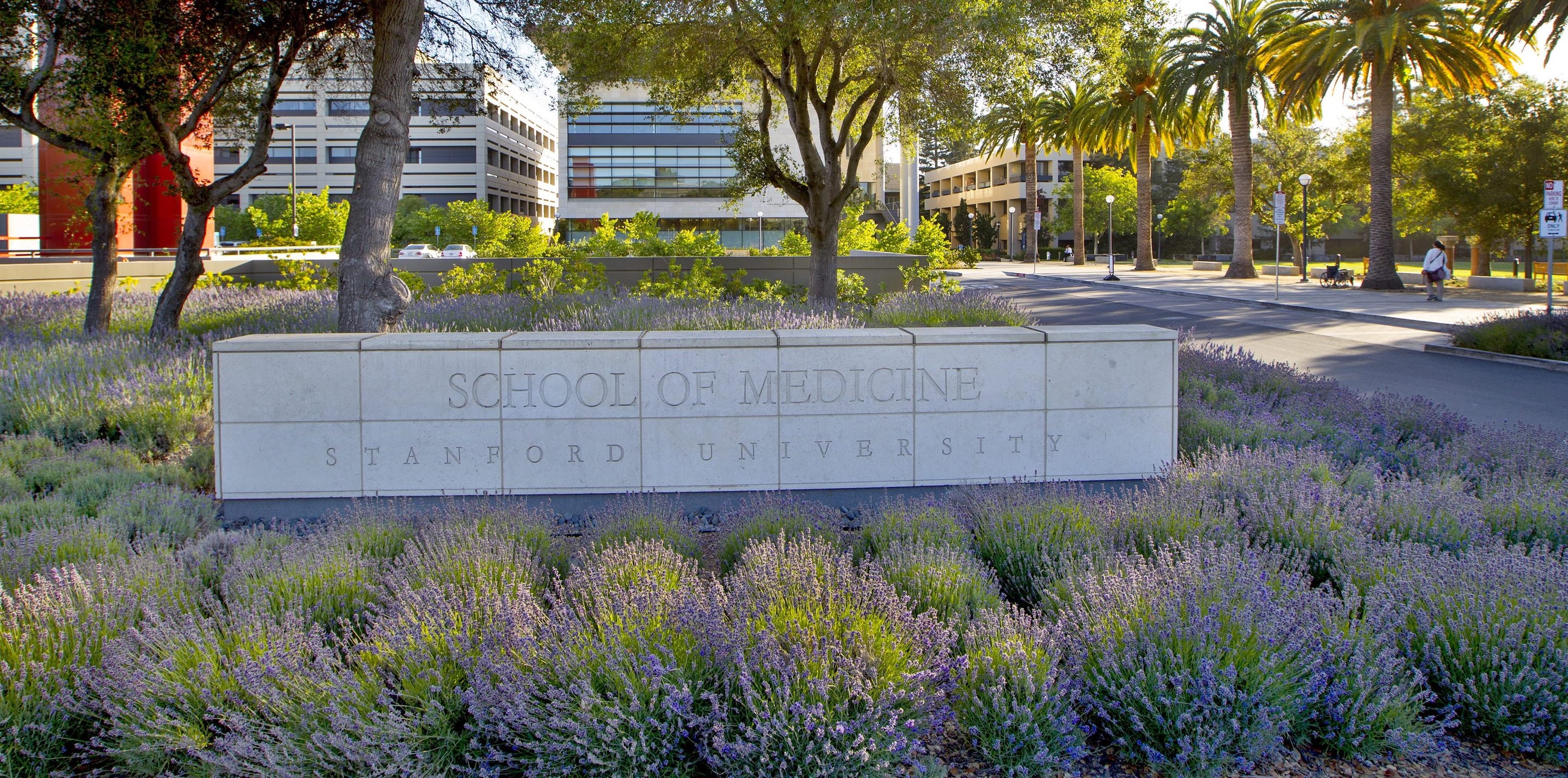 Stanford University School of Medicine sign on campus